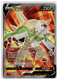 Chesnaught V (s12 099) SR