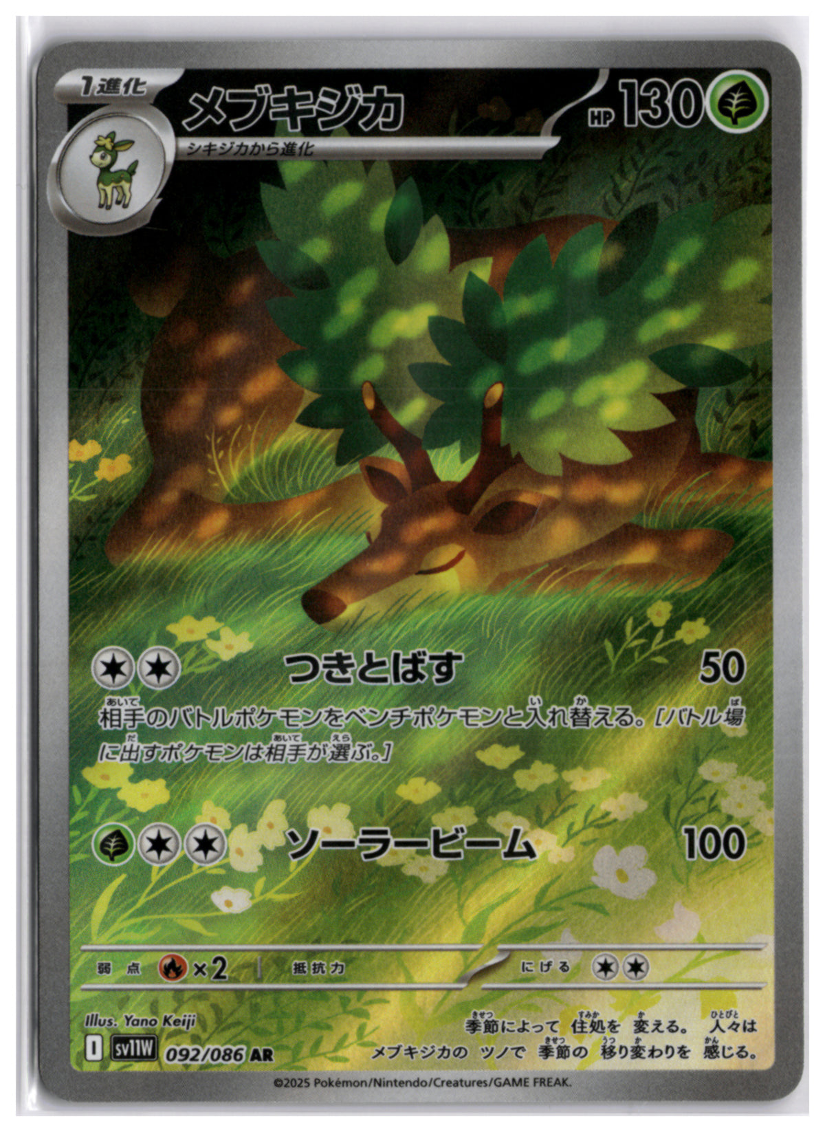 Sawsbuck (SV11W 092) AR