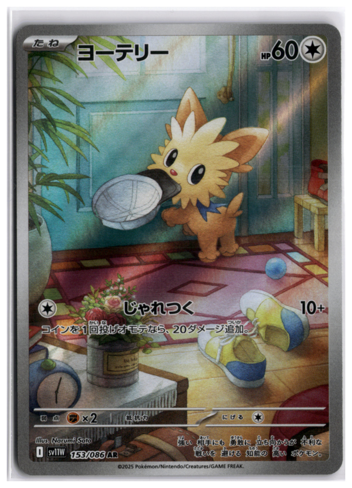 Lillipup (sv11W 153) AR