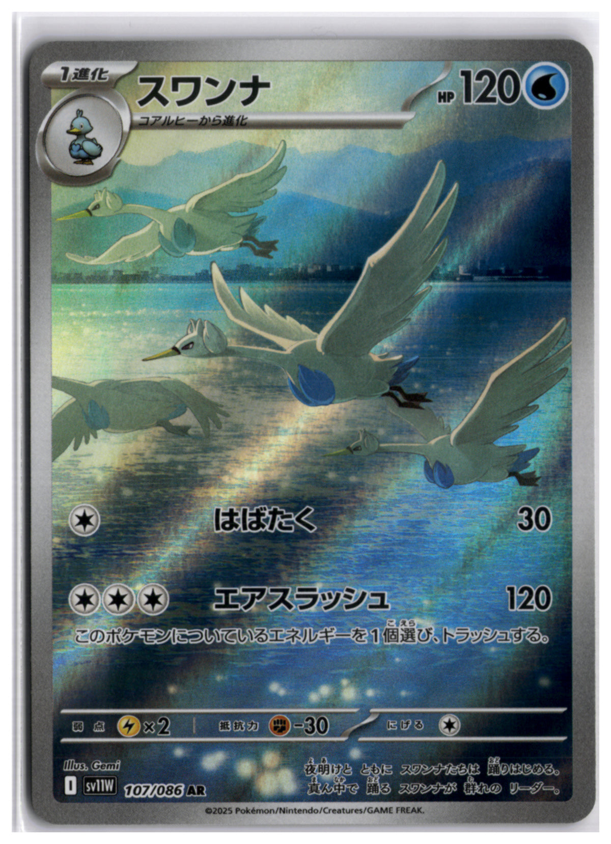 Swanna (SV11W 107) AR