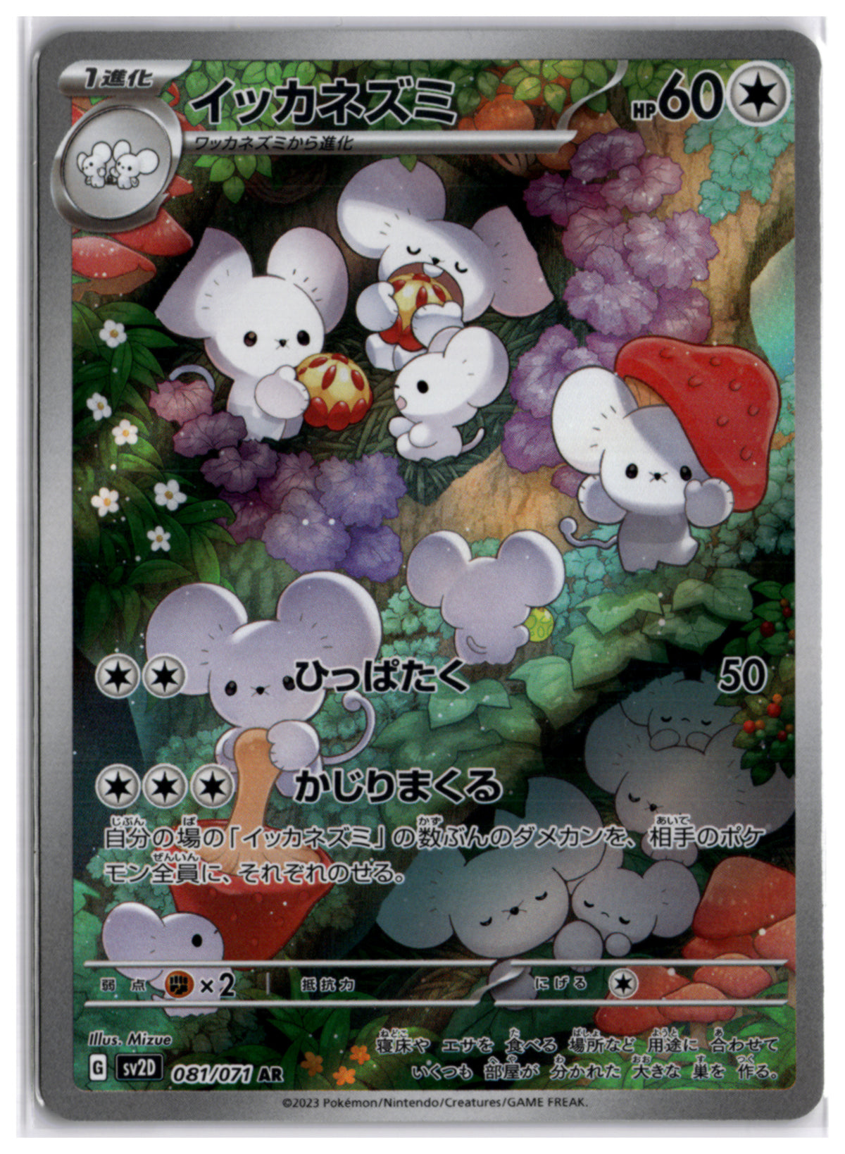 Maushold (SV2D 081) AR