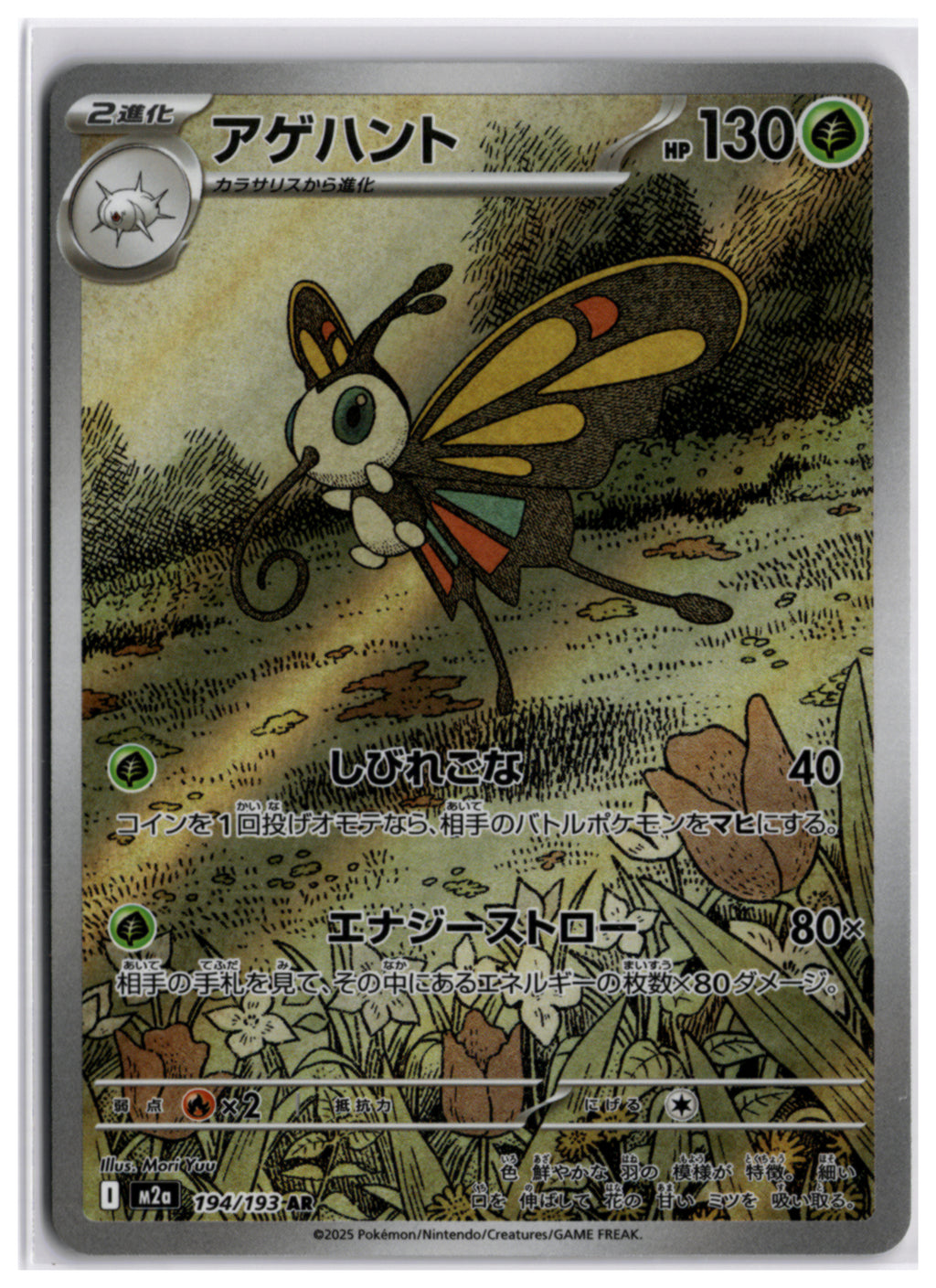 Numel (m2a 198) AR LP