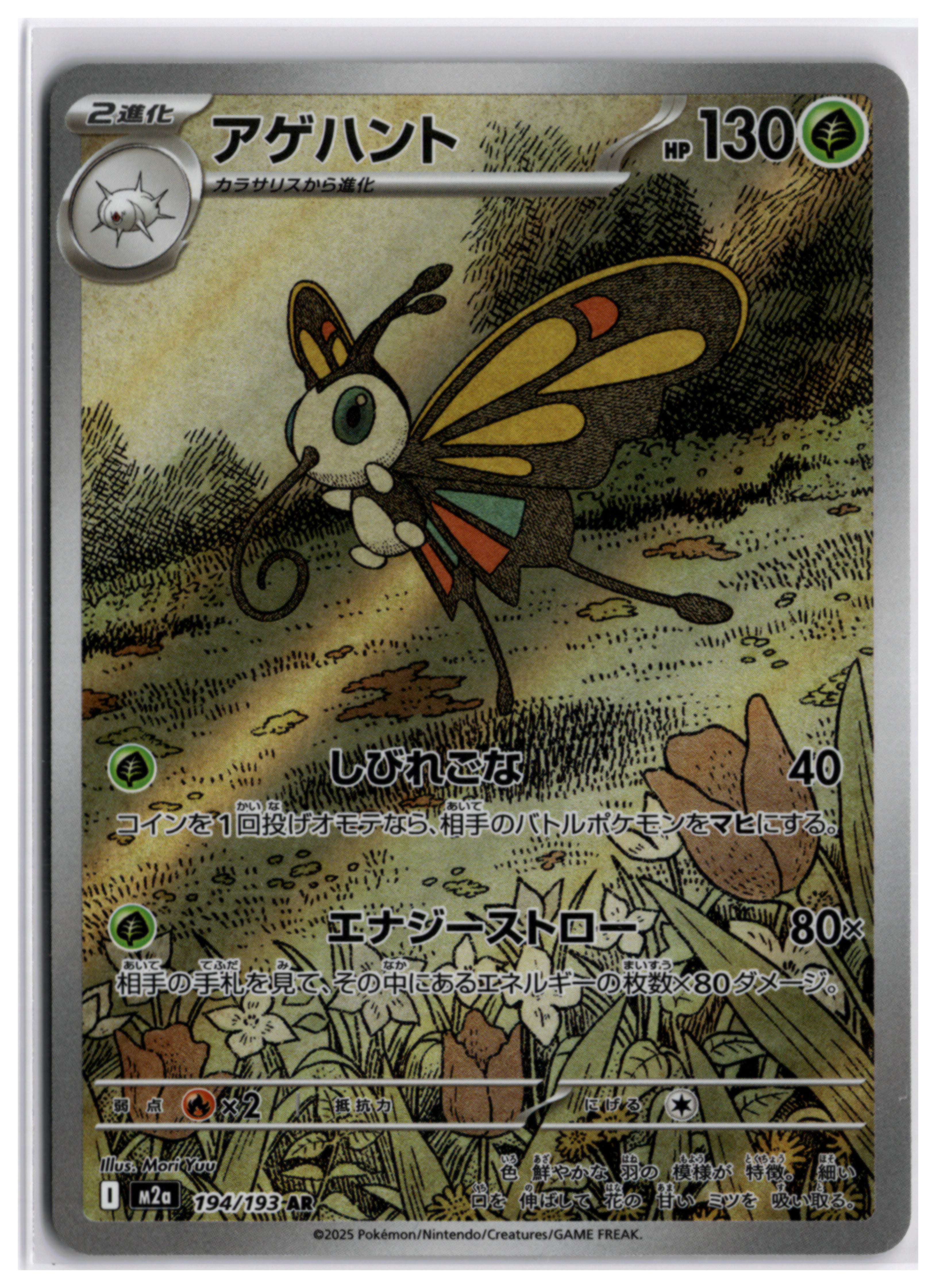 Numel (m2a 198) AR LP