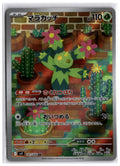 Maractus (sv9 101) AR