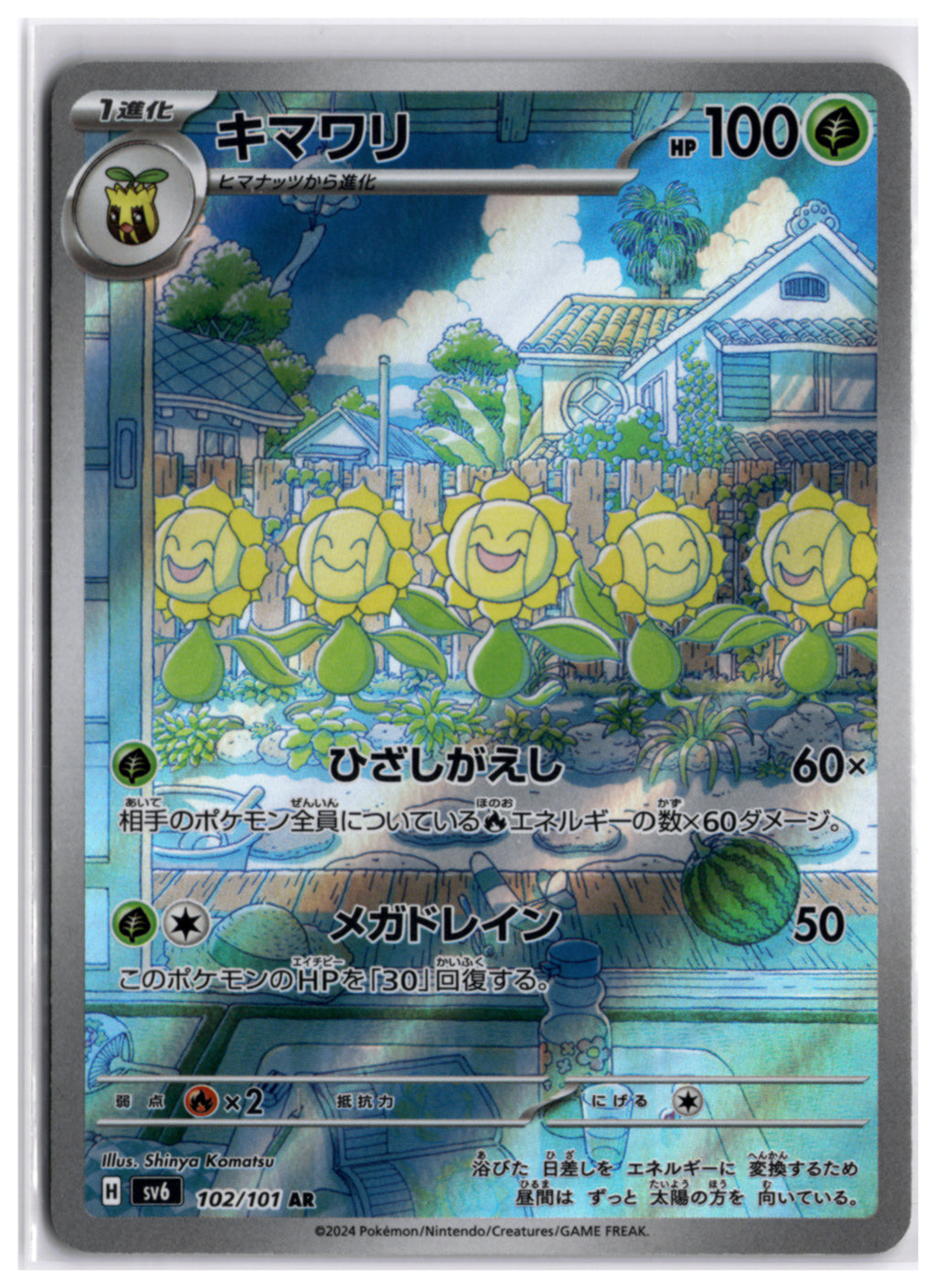 Sunflora (sv6 102) AR LP