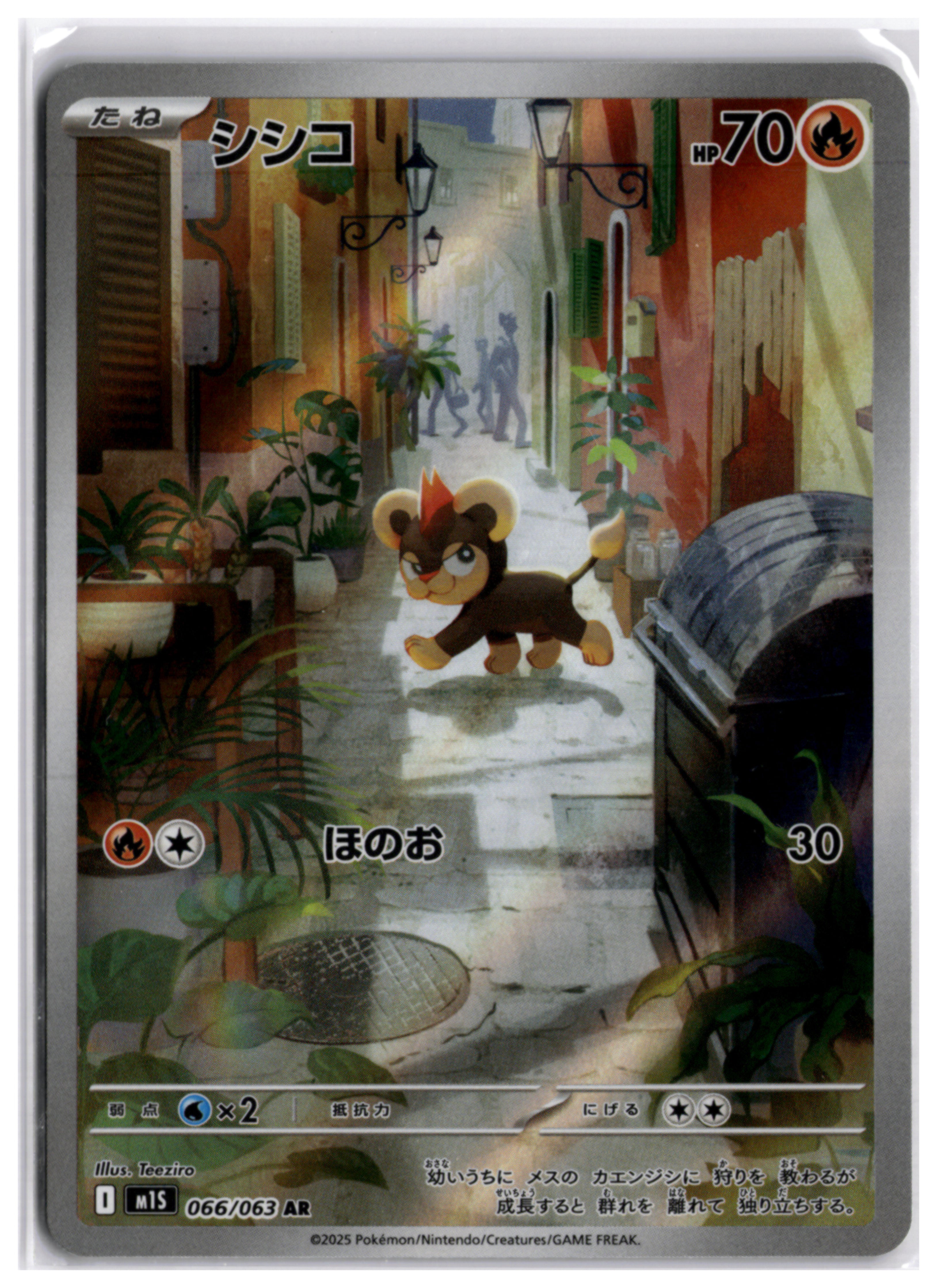 Litleo (m1S 066) AR