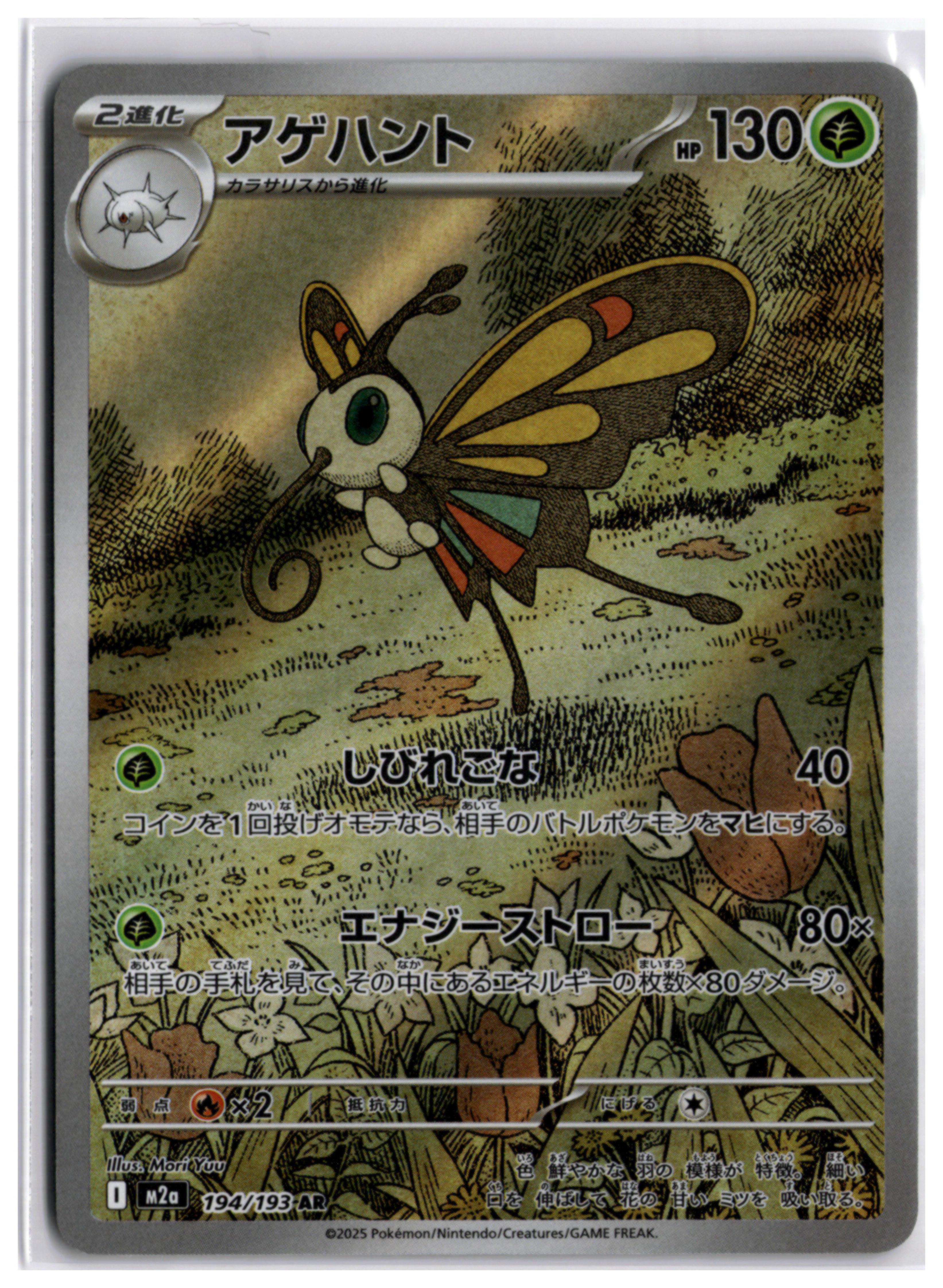 Beautifly (m2a 194) AR LP
