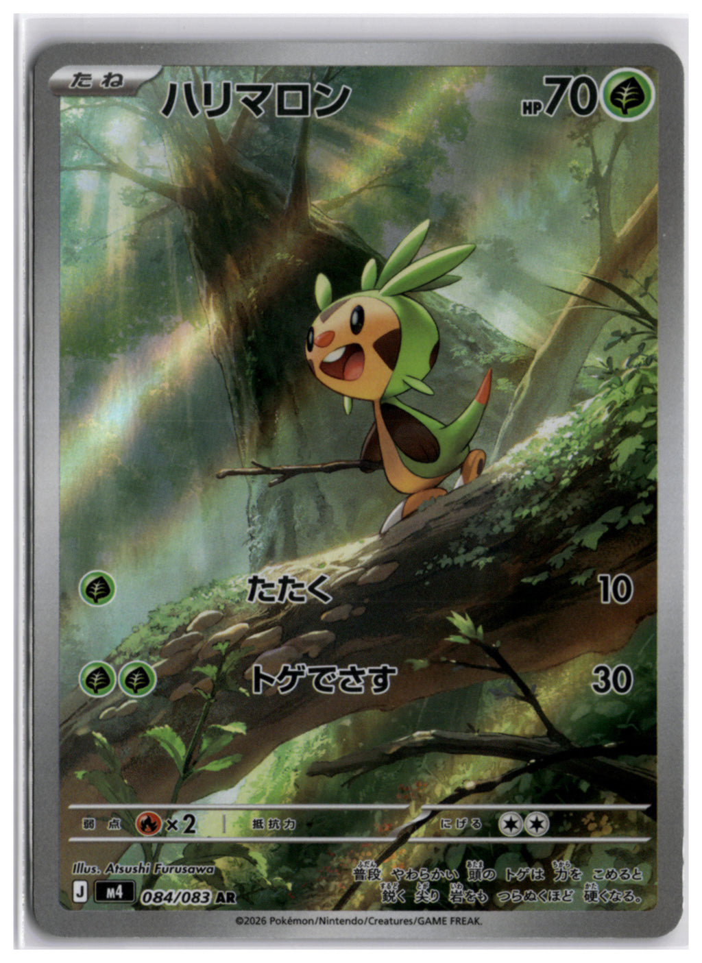 Chespin (m4 084) AR