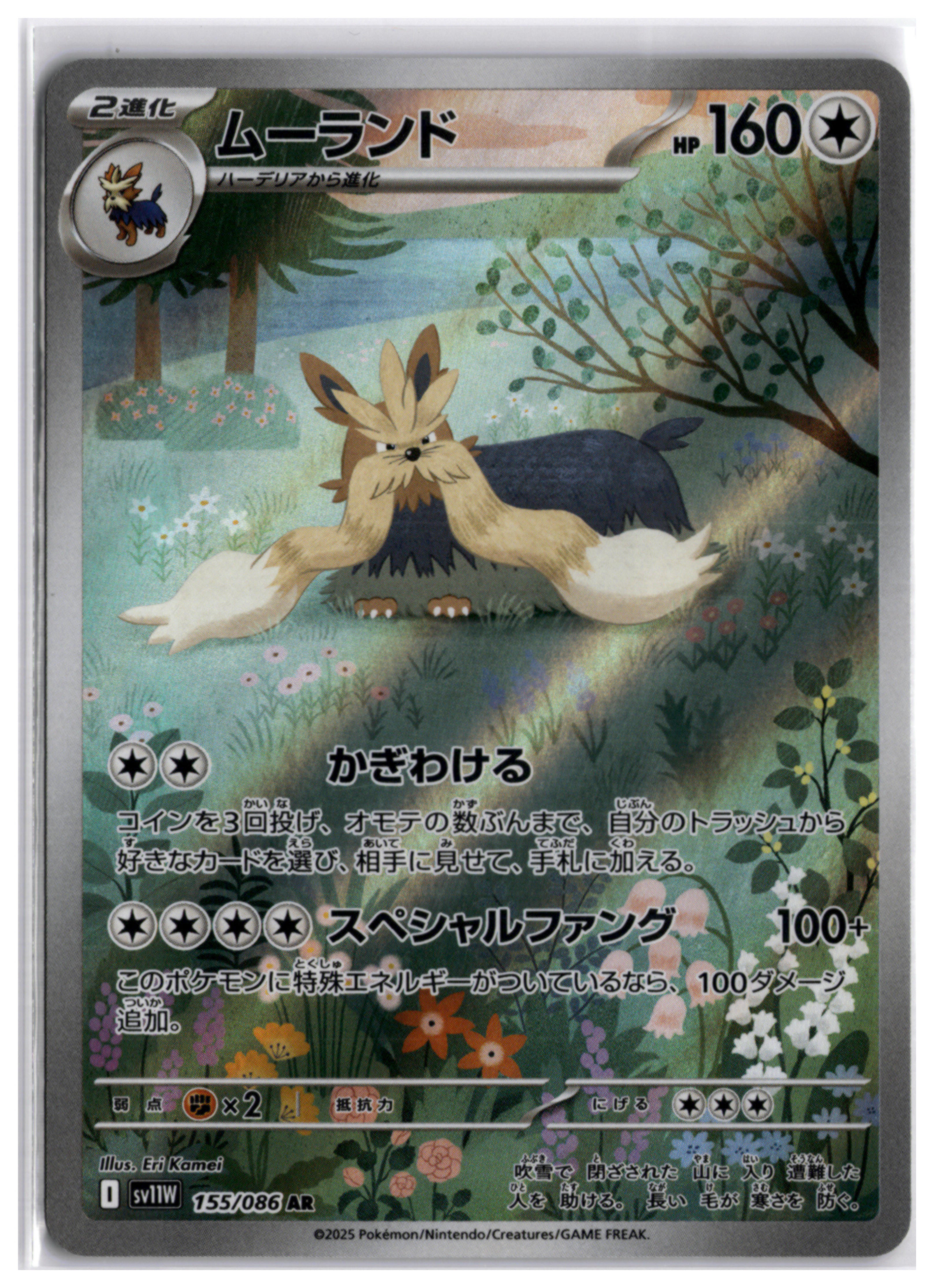 Stoutland (sv11W 155) AR