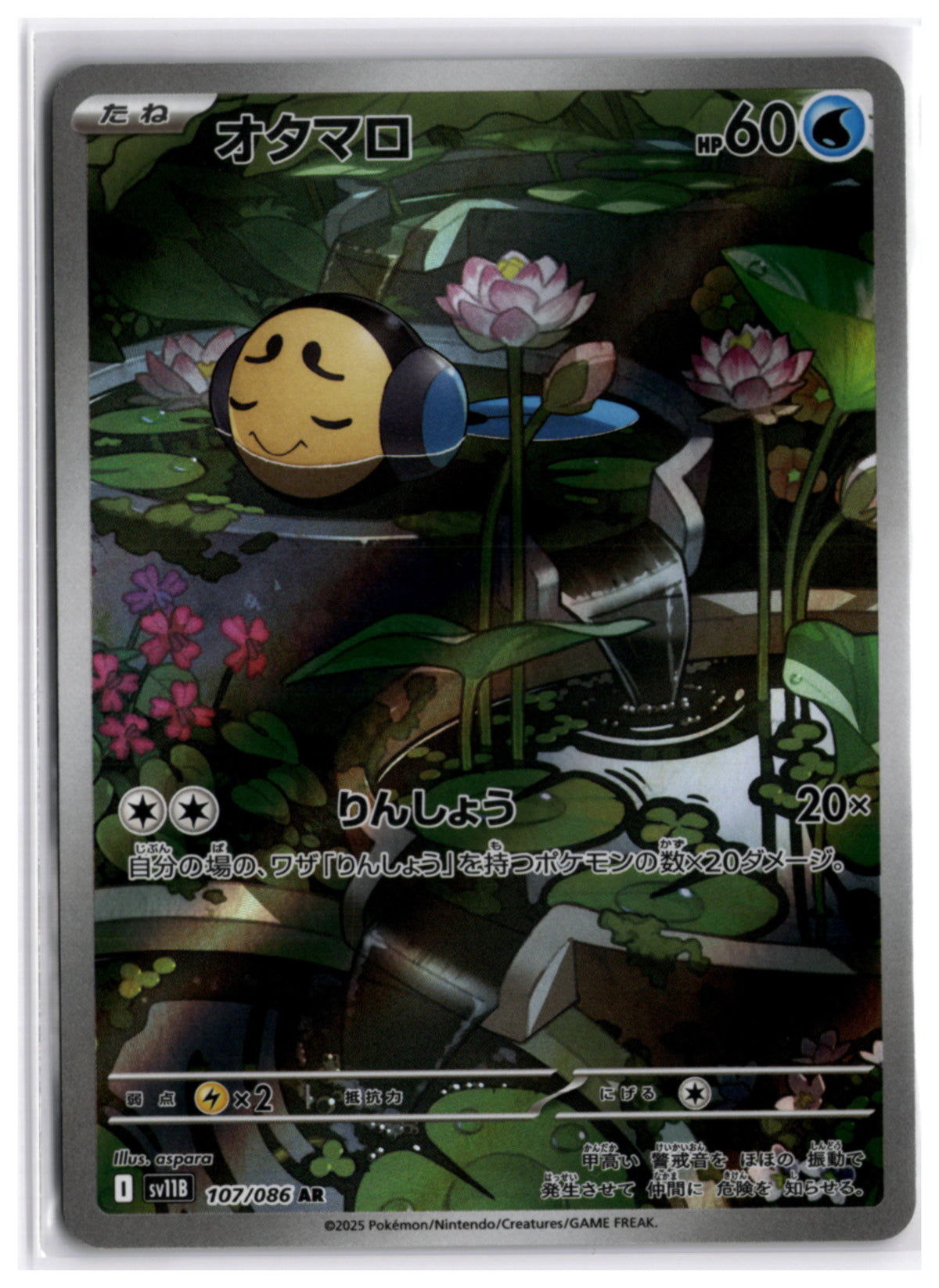 Tympole (sv11B 107) AR