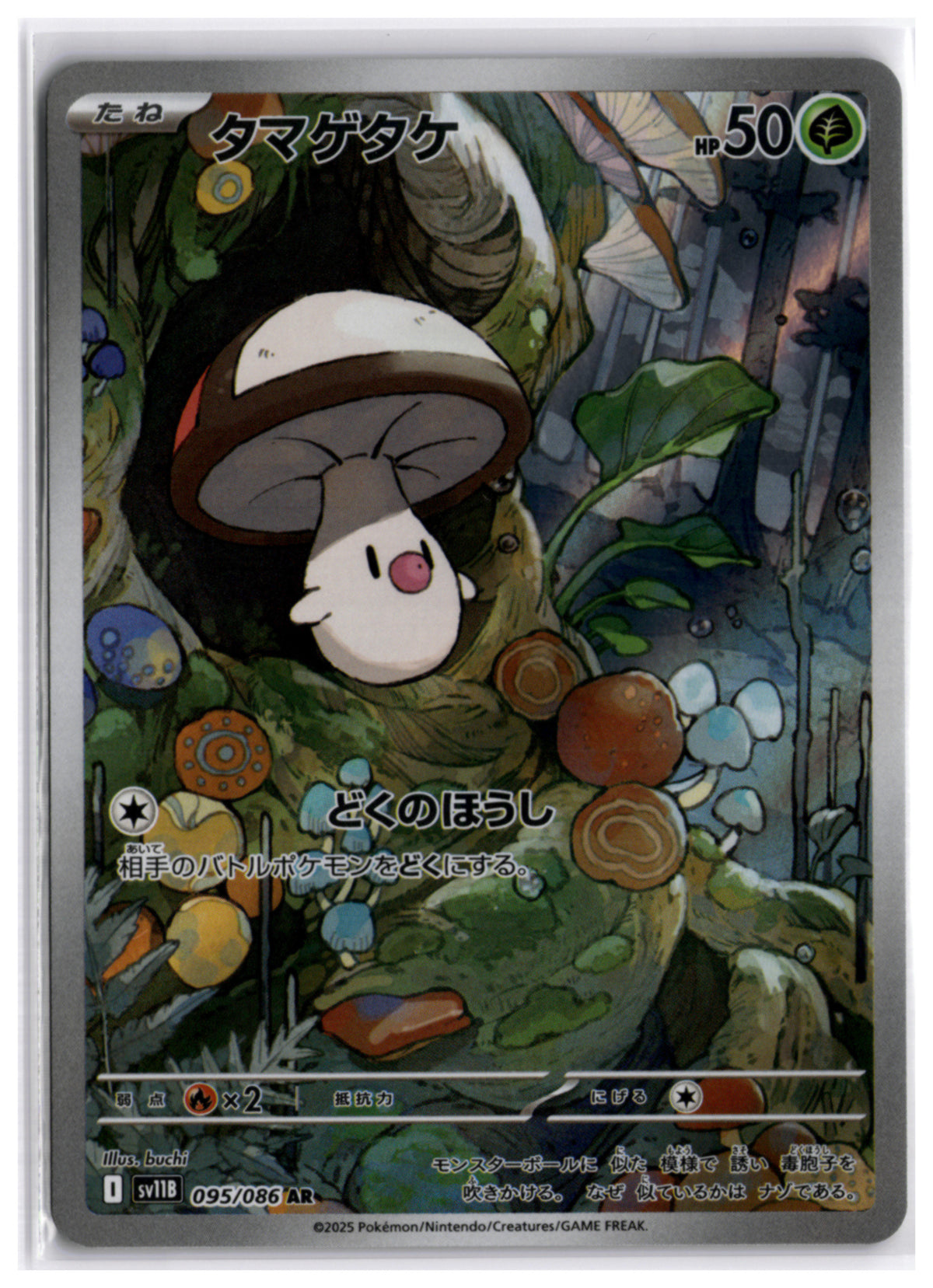 Foongus (sv11B 095) AR