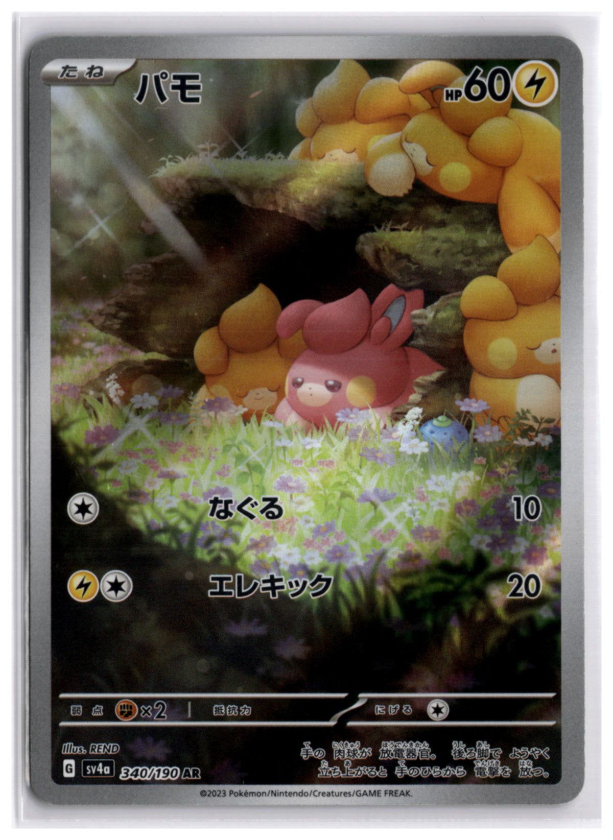 Pawmi (SV4a 340) AR
