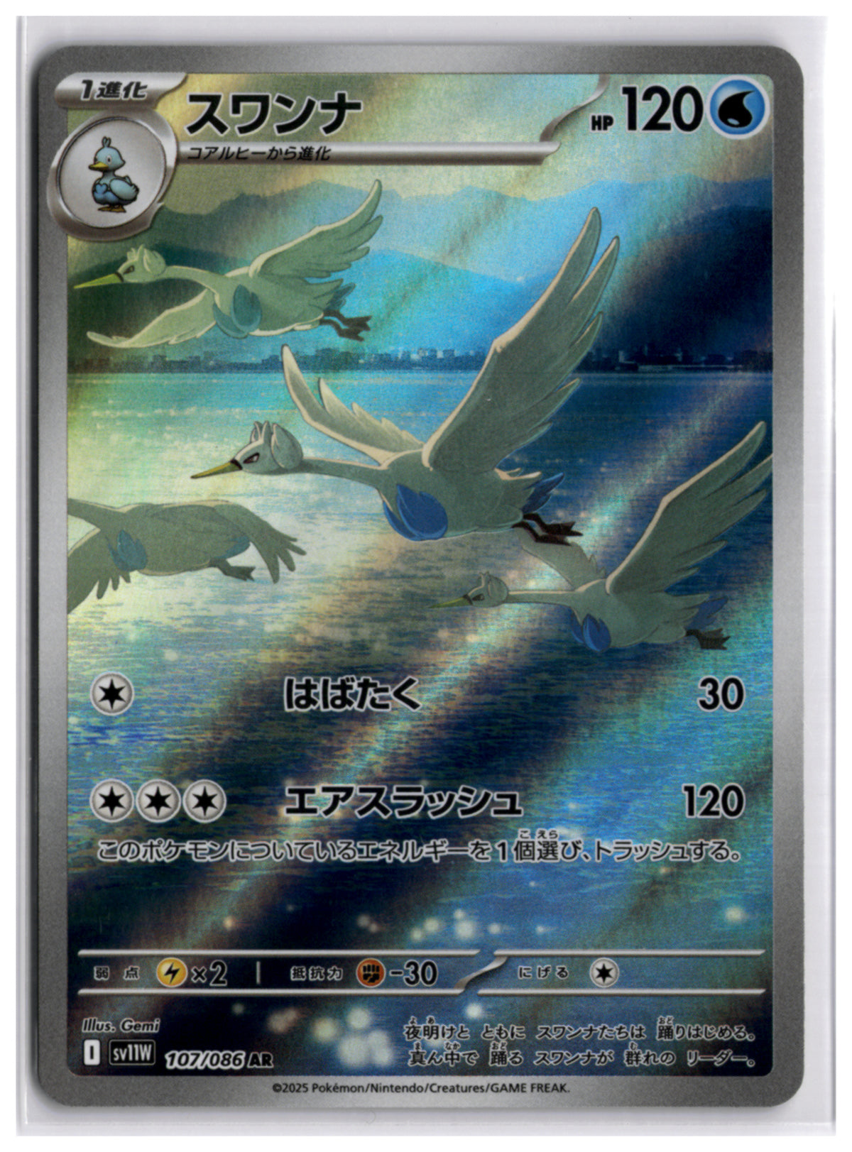 Swanna (SV11W 107) AR