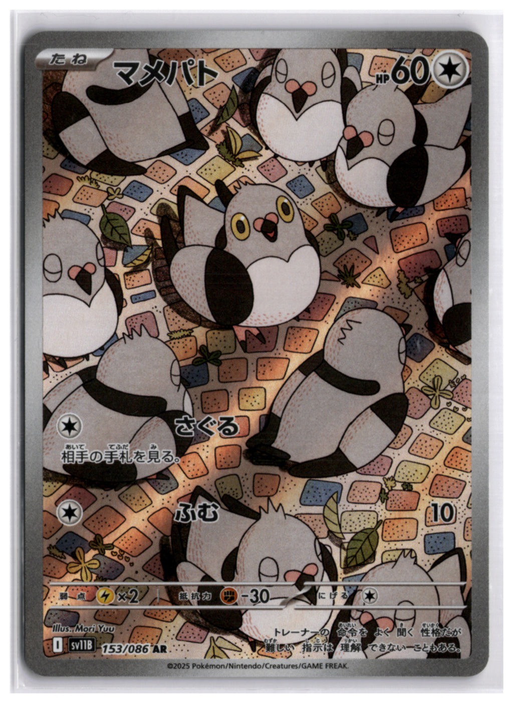 Pidove (SV11B 153) AR