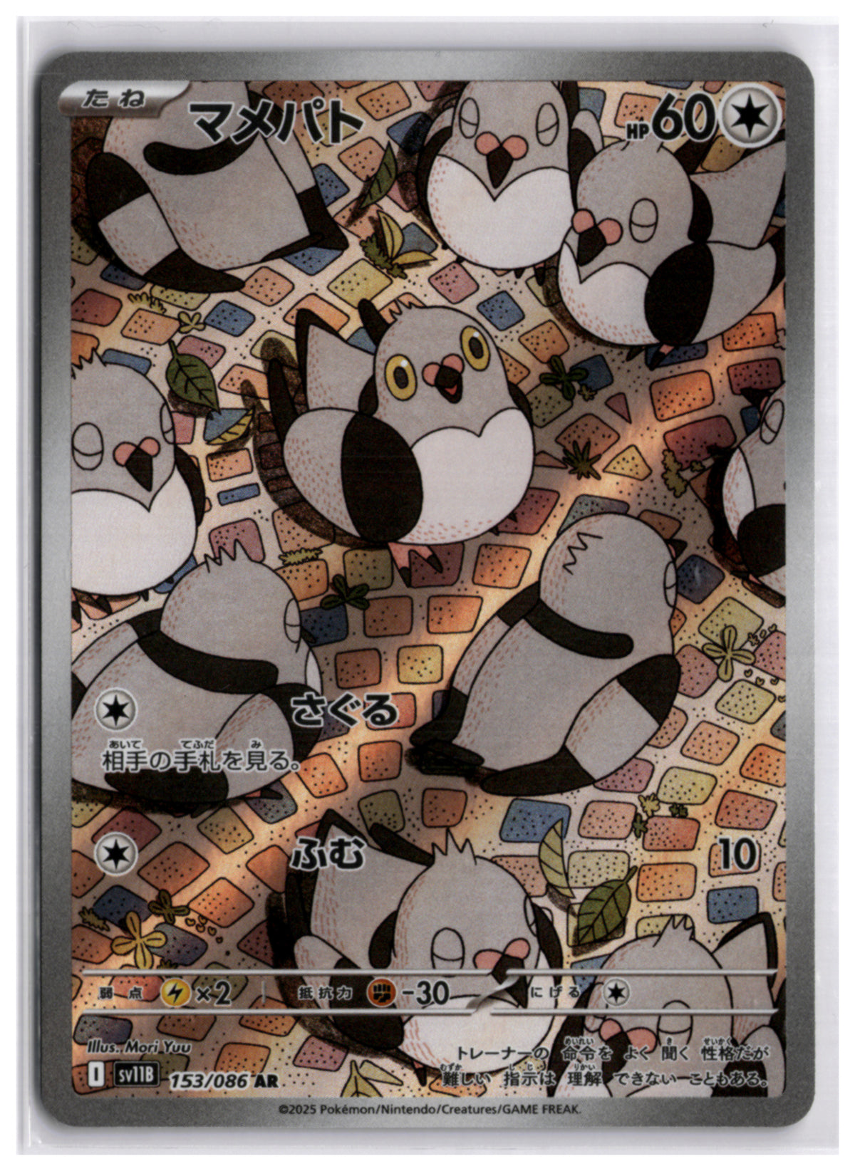 Pidove (SV11B 153) AR