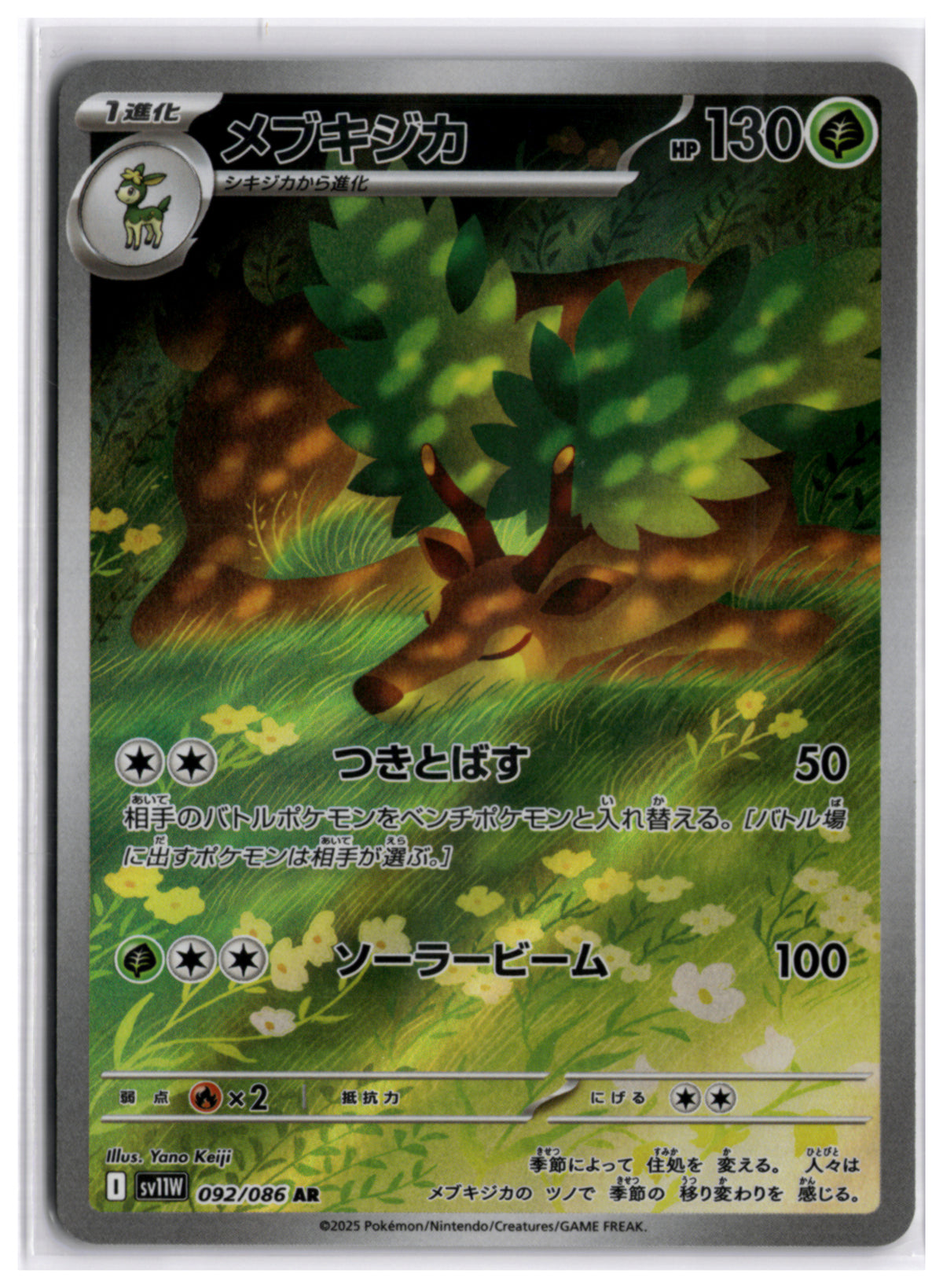 Sawsbuck (SV11W 092) AR
